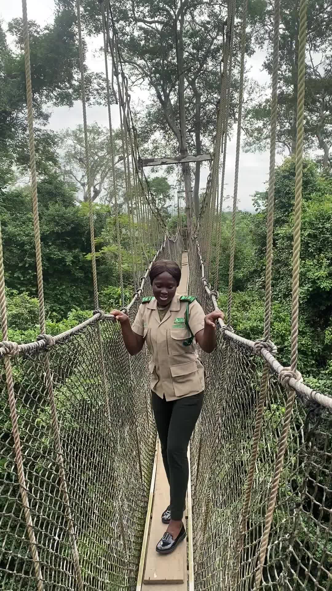 @Kakum National Park