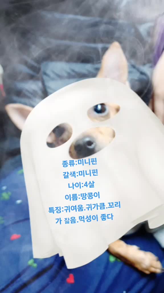@기린♡!?
