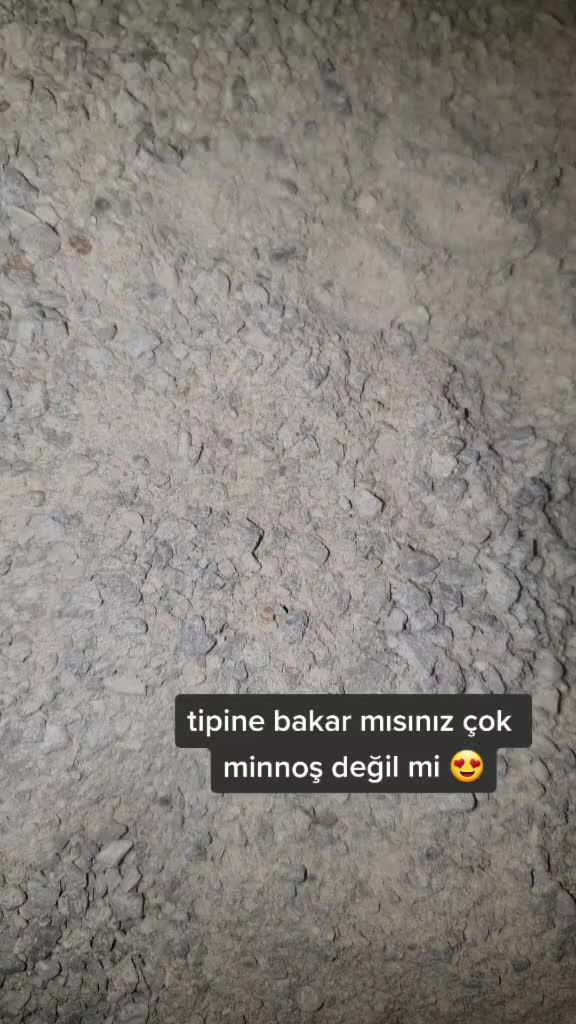 @Alya