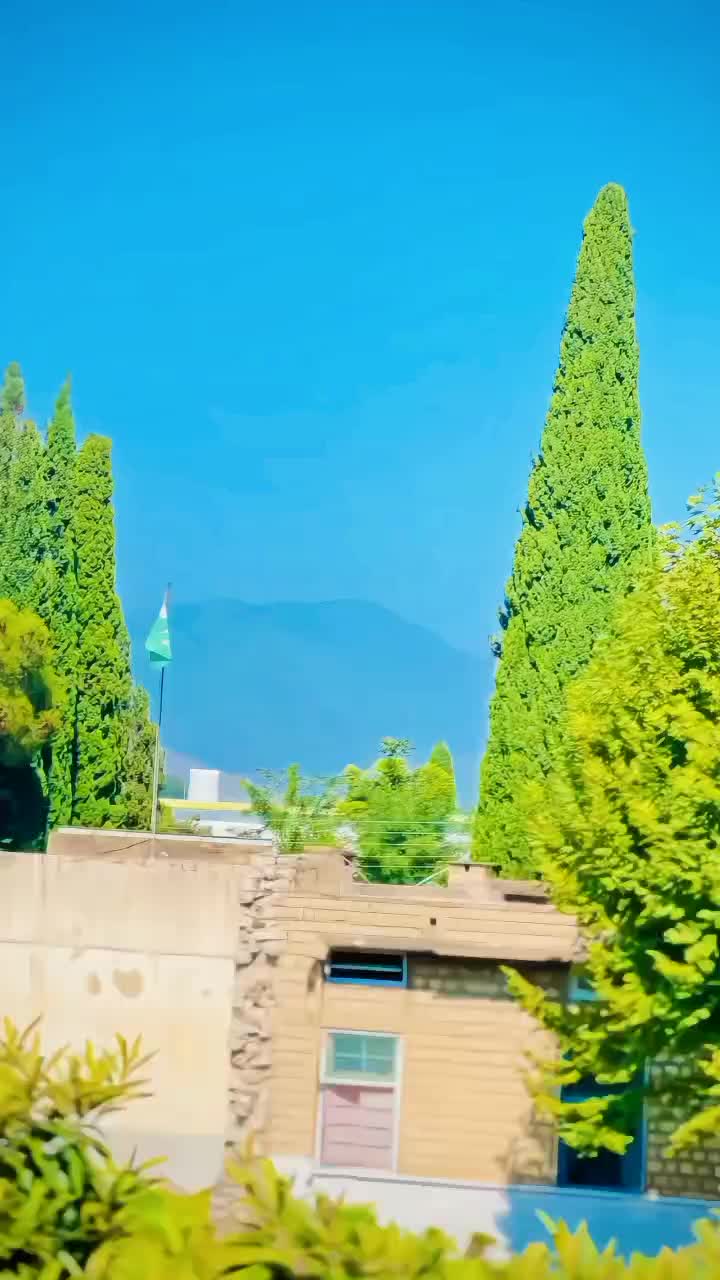 @I̶T̶X̶ꨄ︎S̶A̶R̶D̶A̶R̶🚩