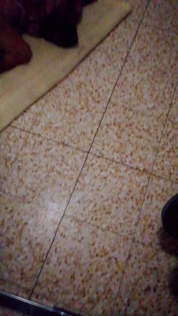 @Elooweliot