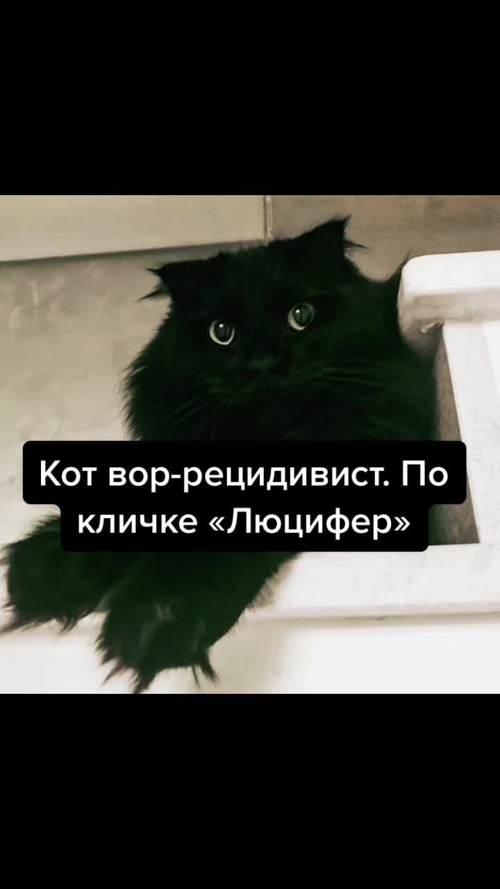 @МОНАВЛЮ