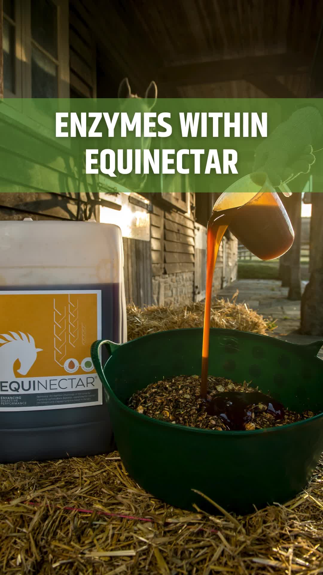 @equinectar