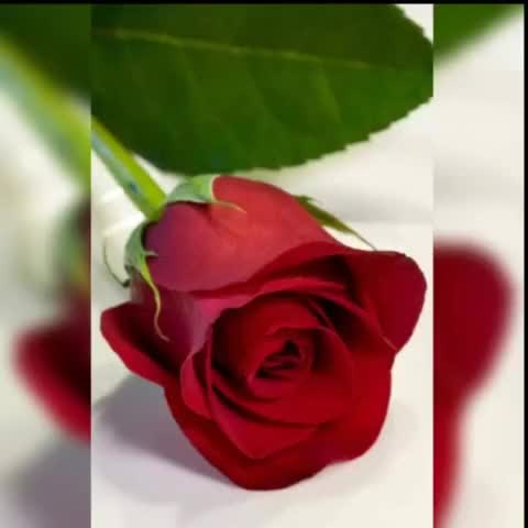 @SANDHYARANI SAHOO