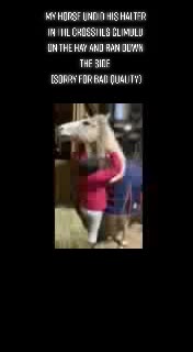 @horsie_rider