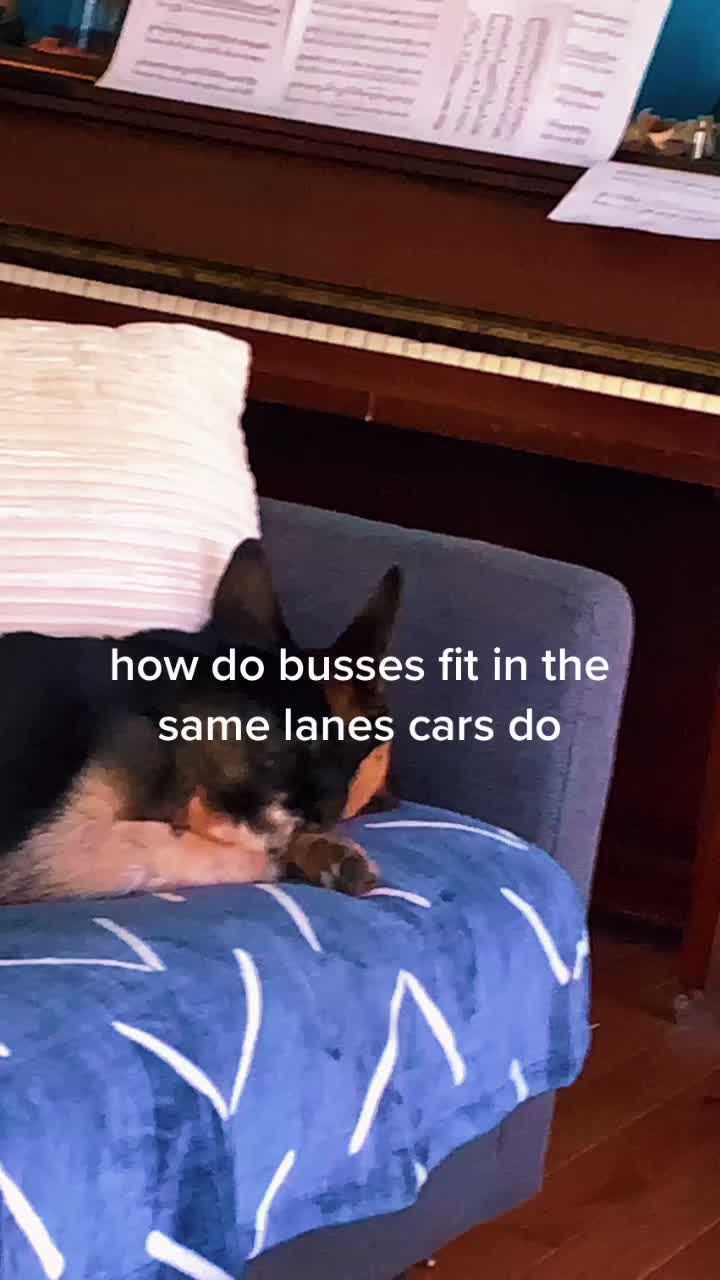 @annaslanderaccount