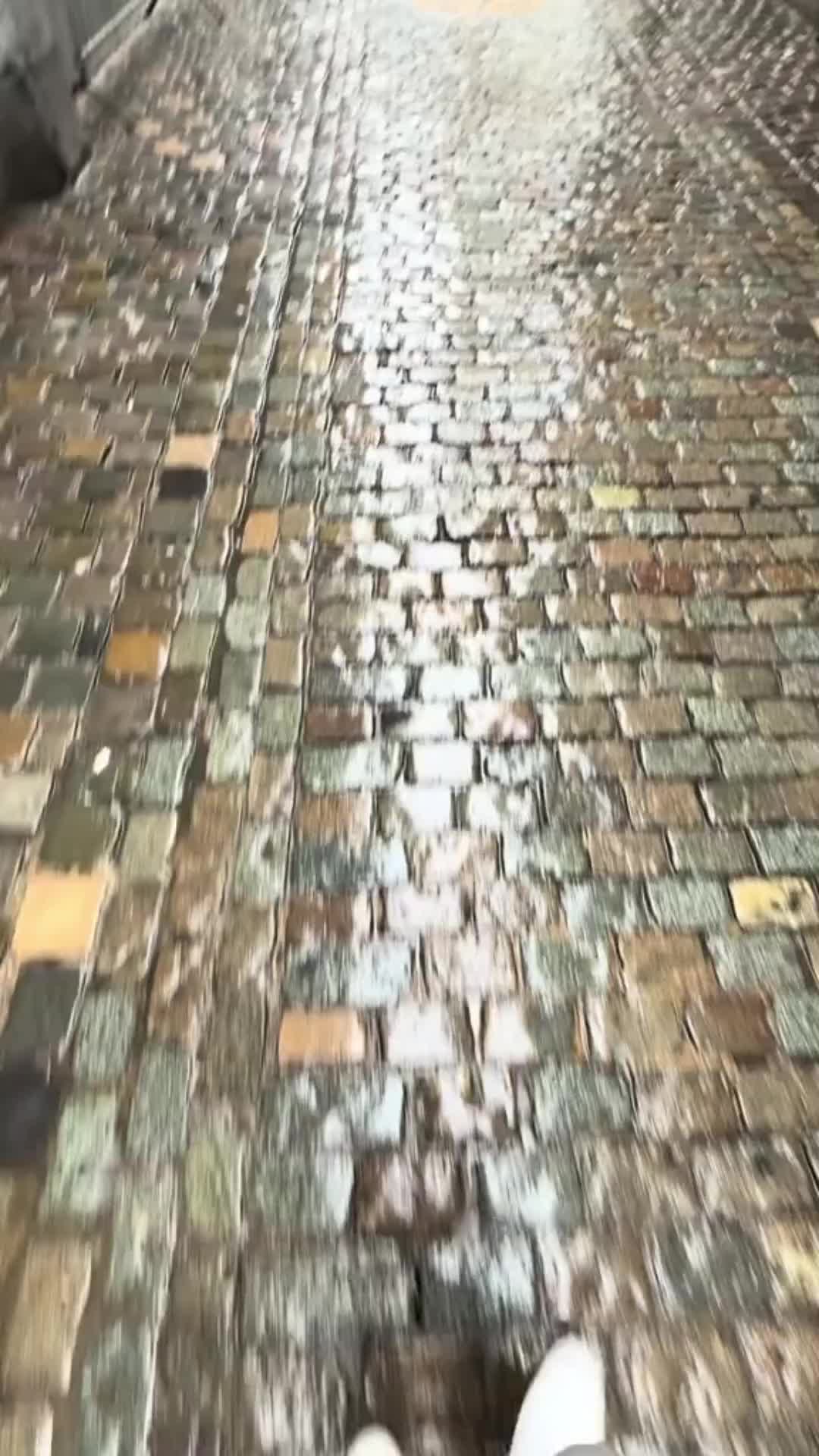 @MR_PORTUGAL🇵🇹