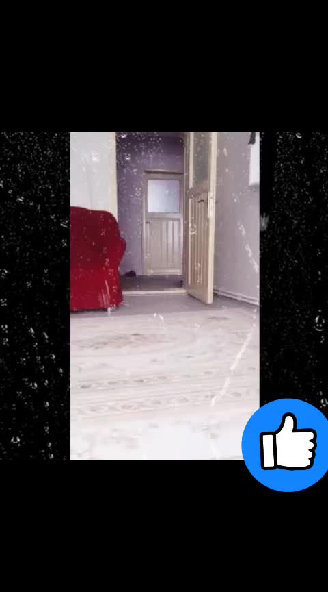 @khandani nawab🔵