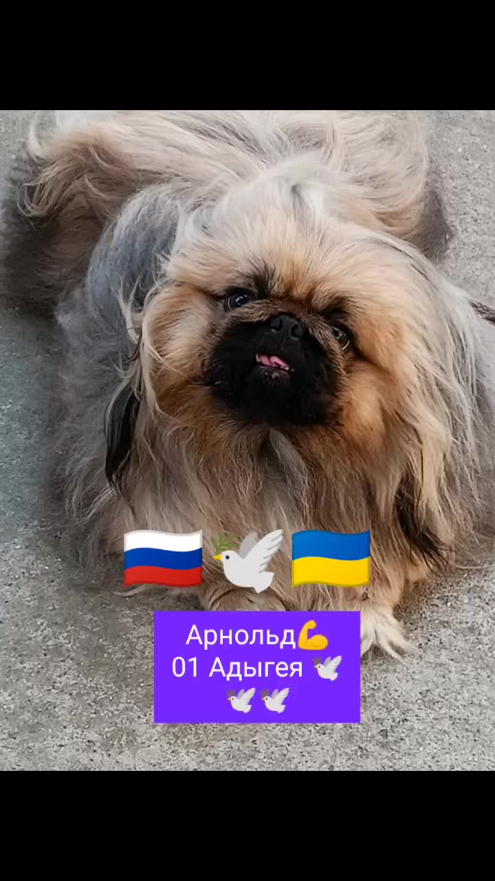 @Arni_Ani