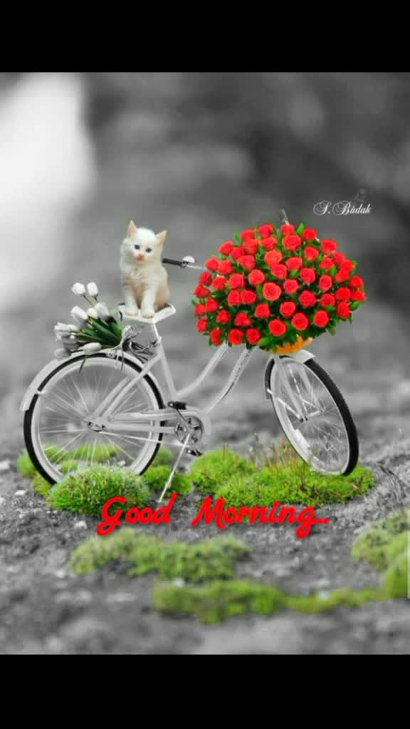 @@anureetkaur chahal
