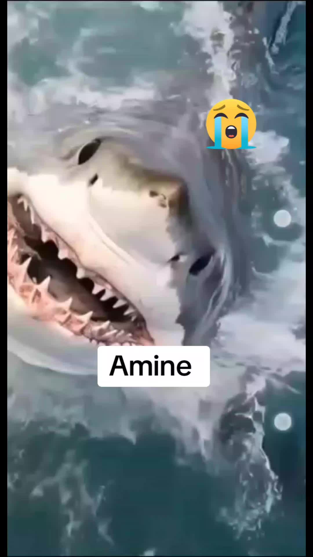 @محبة في الله
