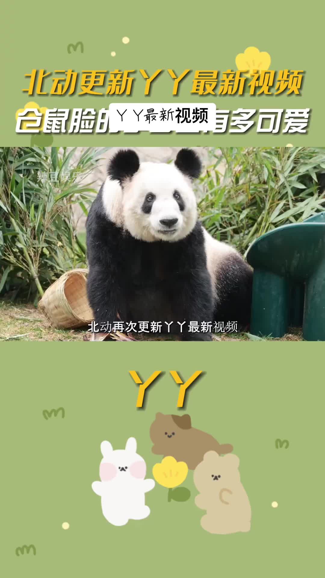 @ショウキンキ