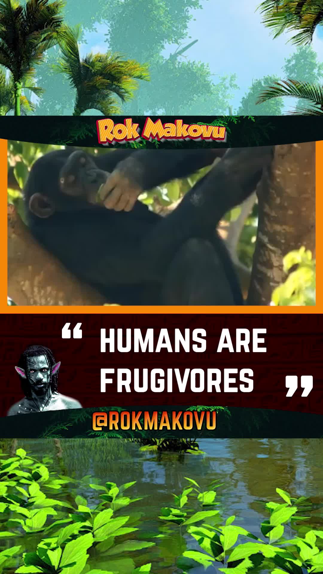 @Rok Makovu