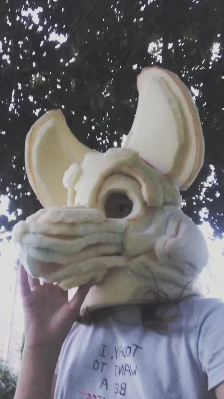 @furry