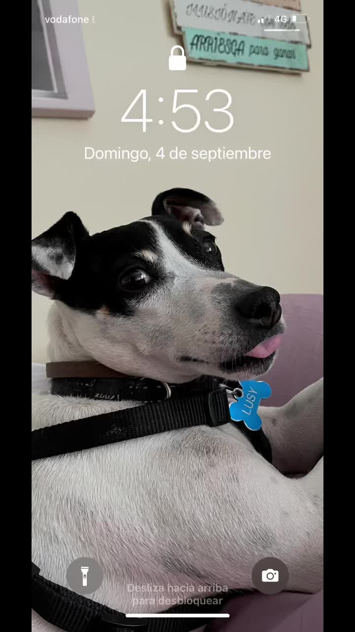 @Roxana