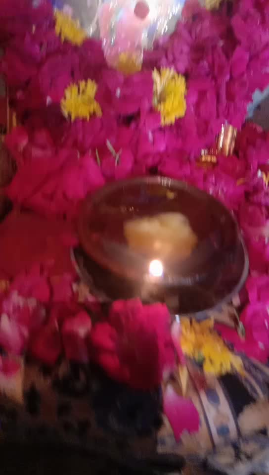 @Ranshodji Thakor