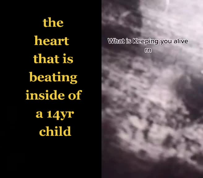 @Ashlie Rico