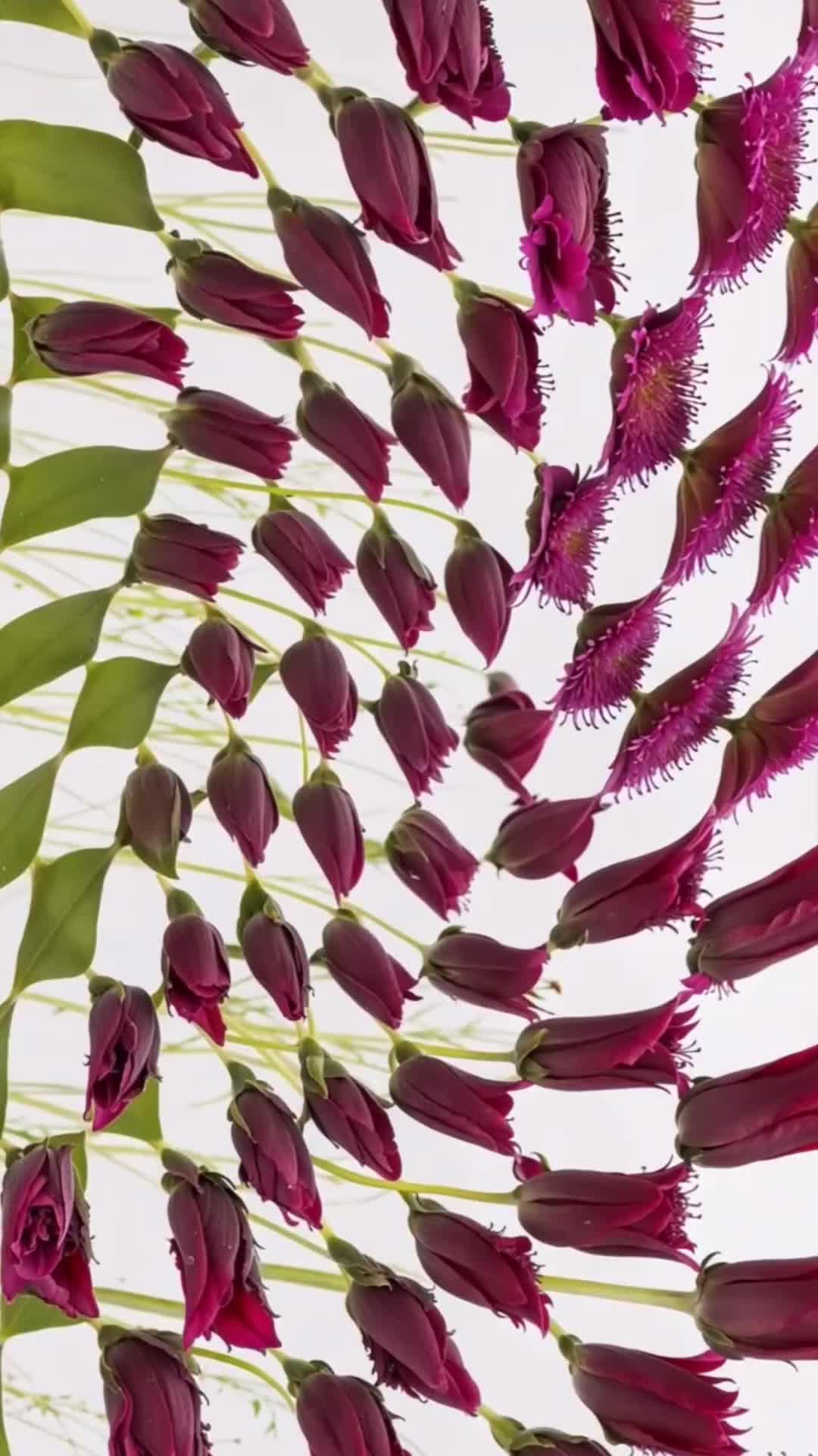 @VisualAtelier8