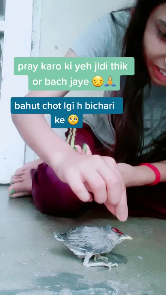 @soni