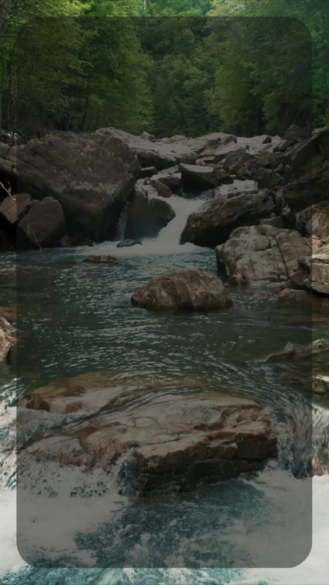 @user43887966312