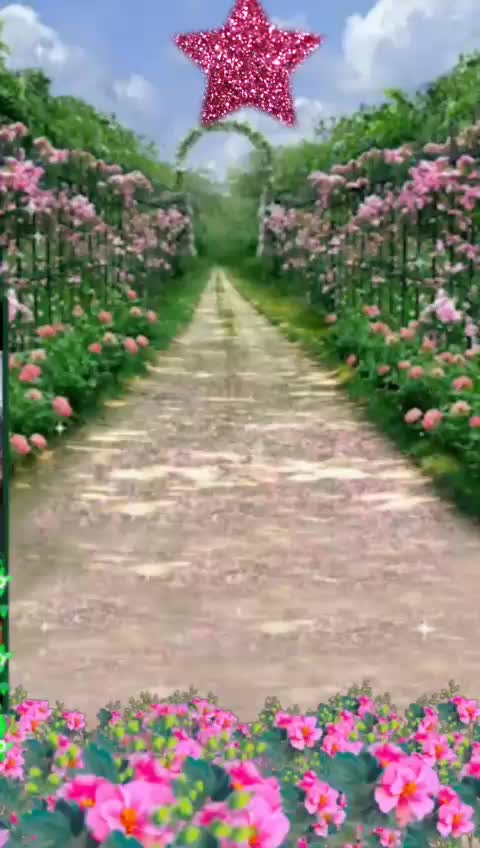 @bhumi sahu
