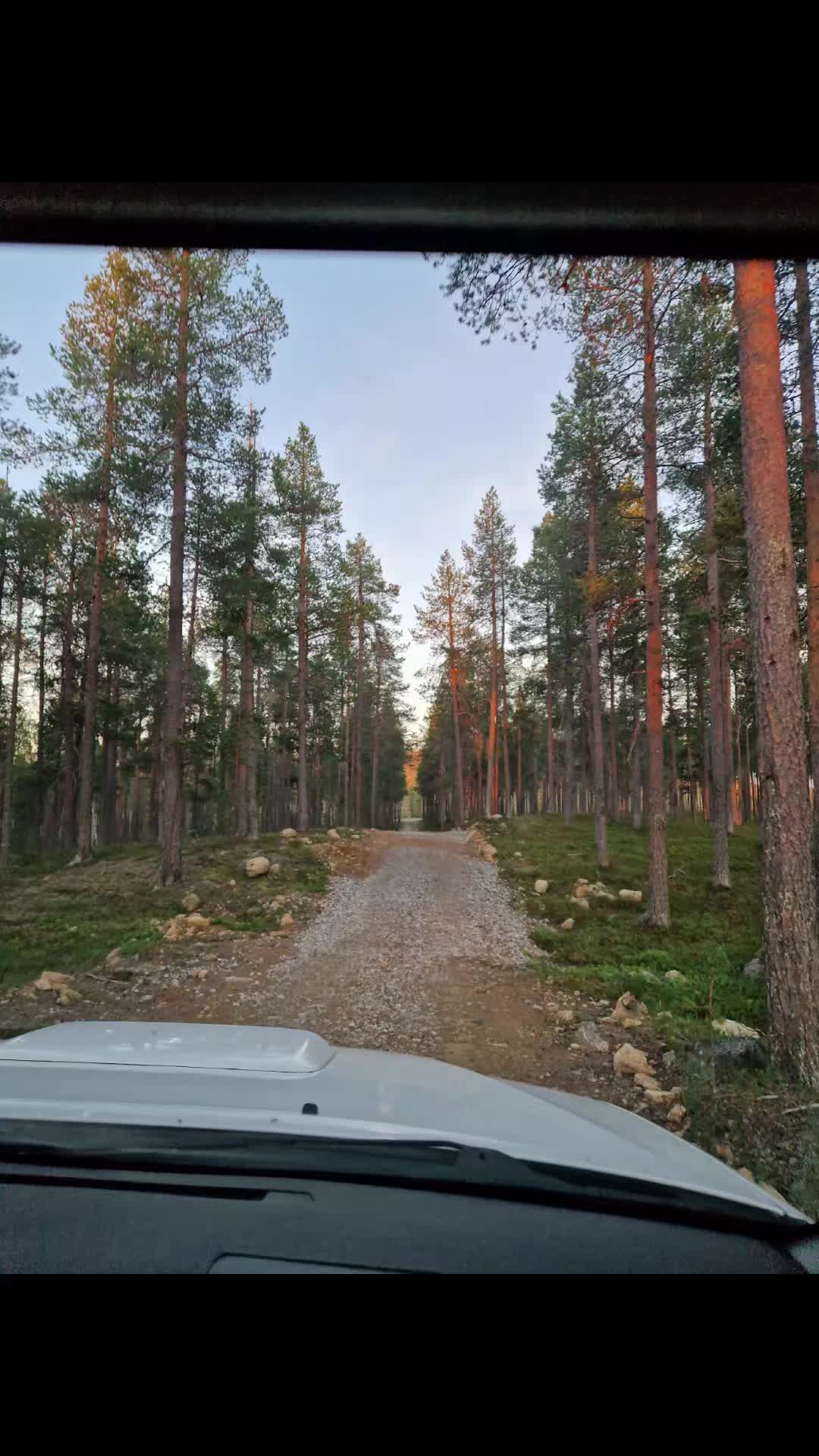 @Eliisa Nuutinen