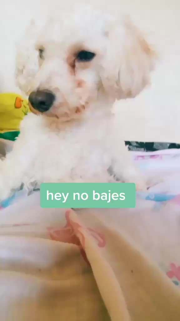 @Princesadulce&mdash;