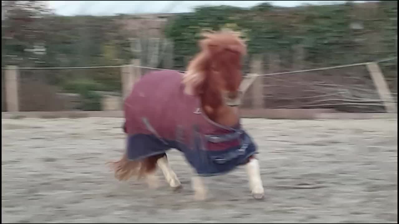 @eventingridersx
