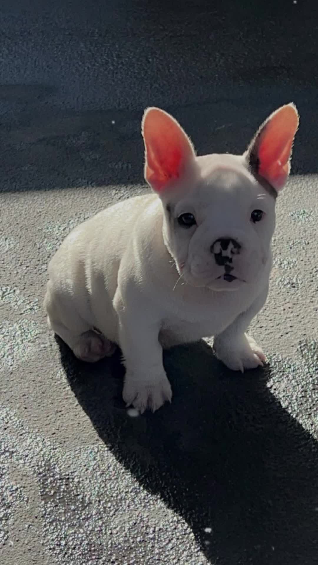 @🧿TANKE🧿
