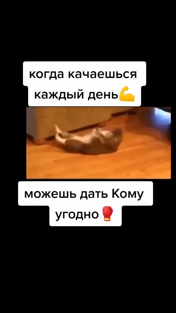 @🌺ARTYR_228 🌺