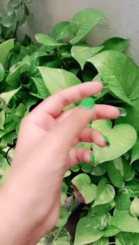 @user26044946540