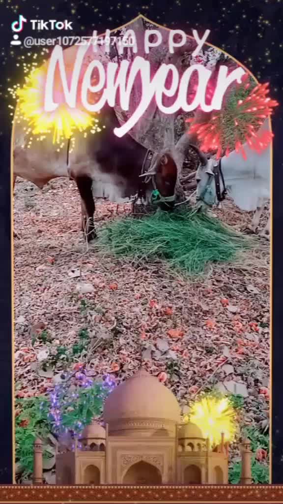 @Venkatppa Kakalwar