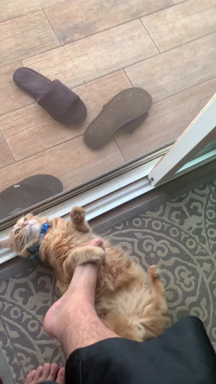 @foot
