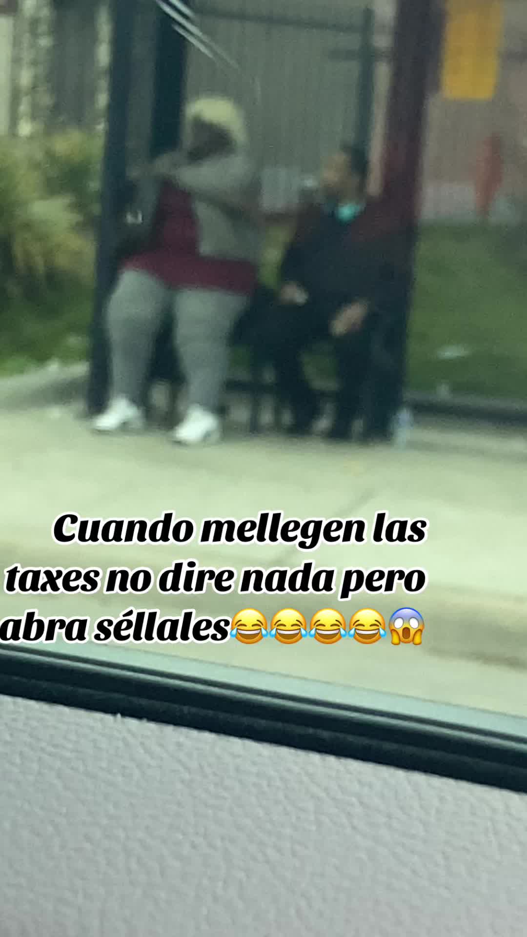 @Elpeluche de Guanajuato