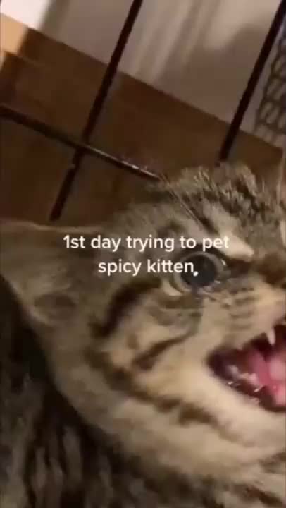 @Jennifer Emily