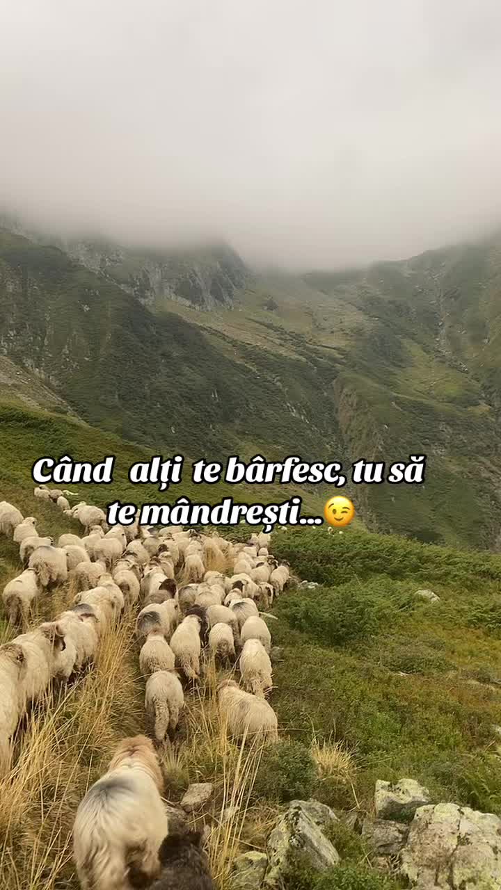 @Diana Moga