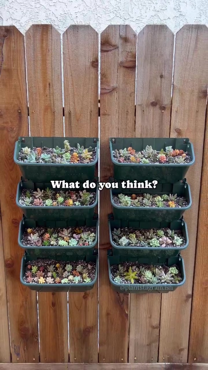 @Plantstagram.ish