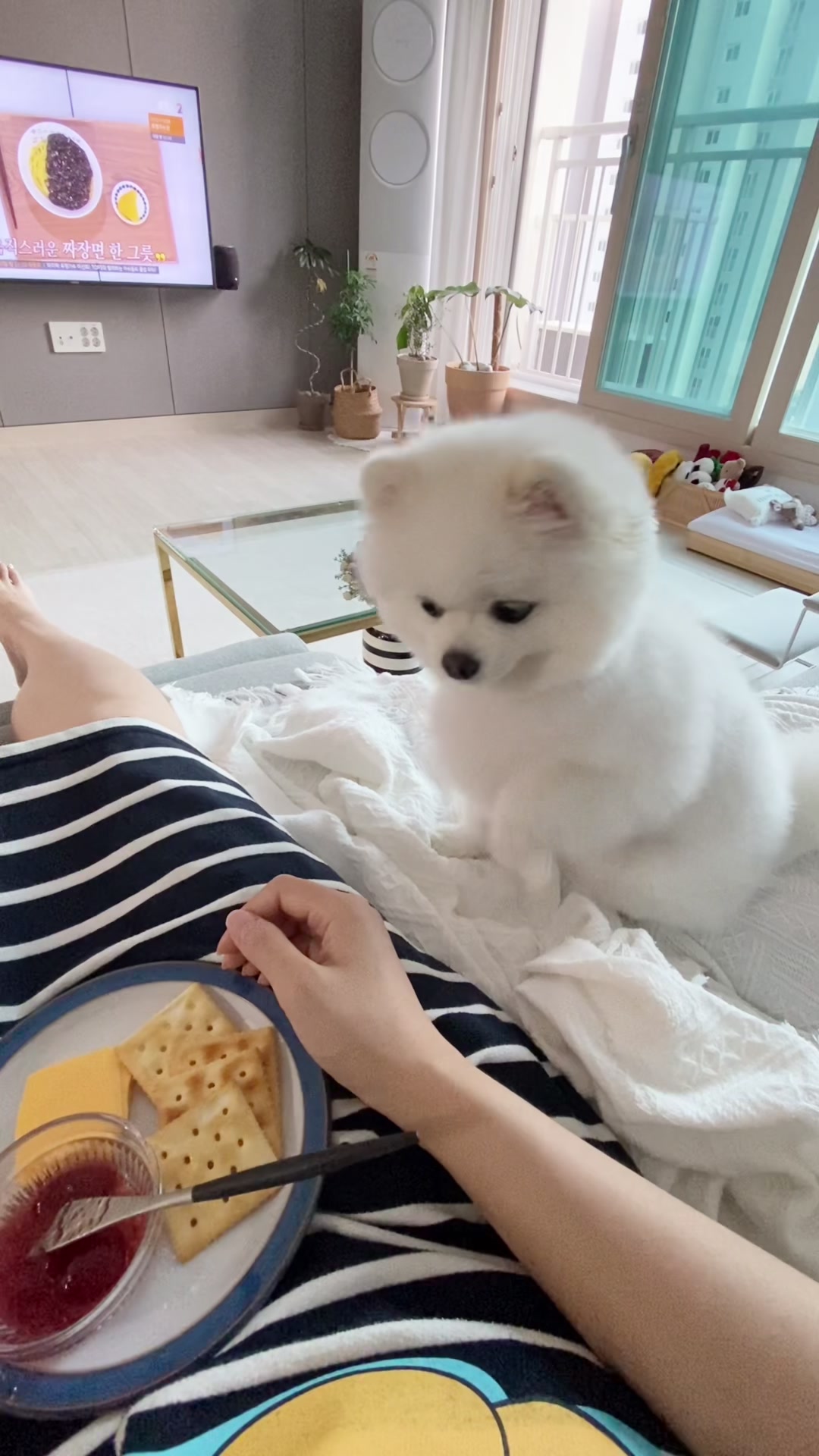 @권하리