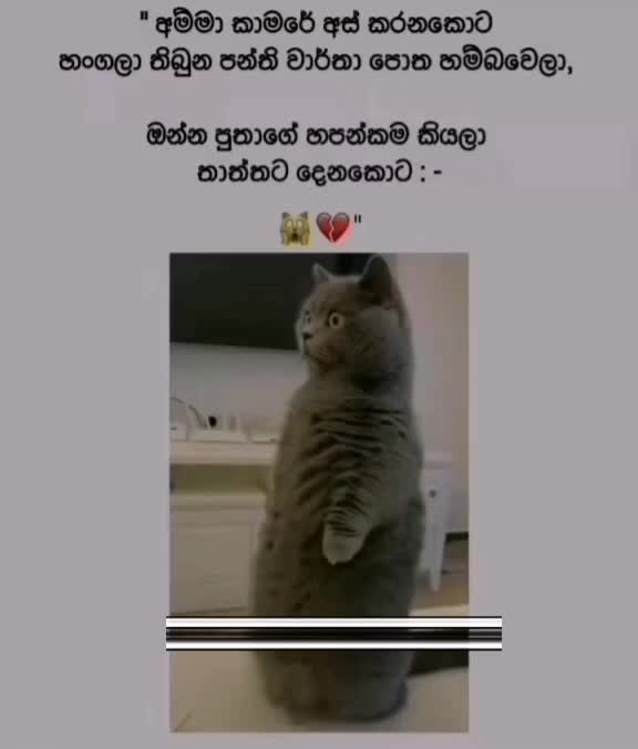 @THARINDU MIHIRANGA 👀🤗