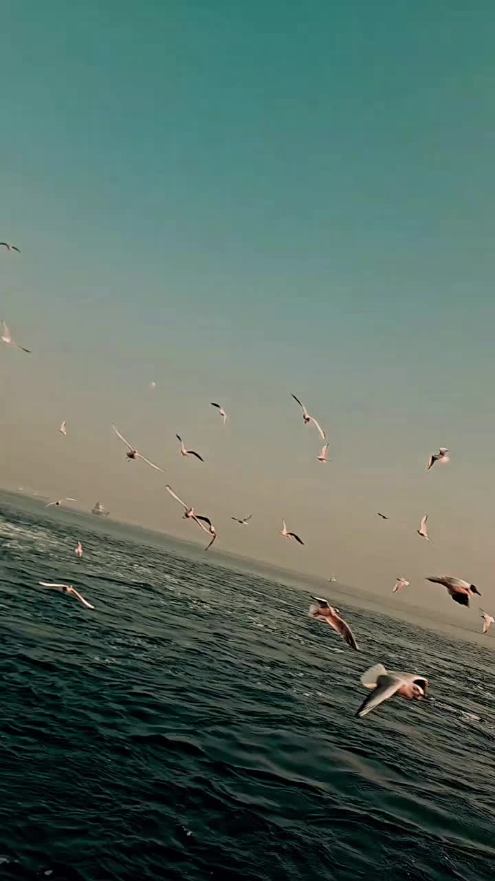 @hüseyin