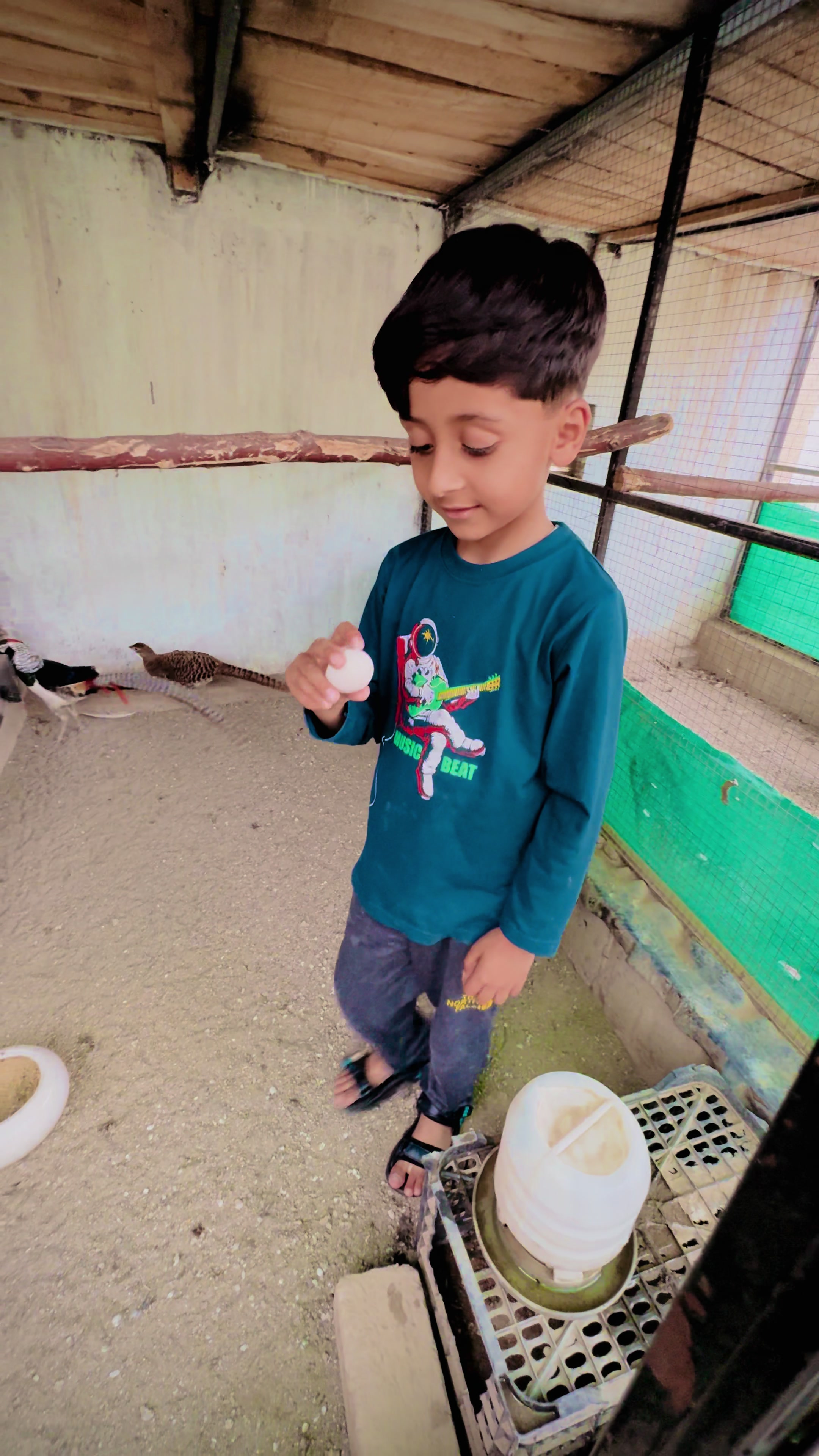 @Bird's Aviaries