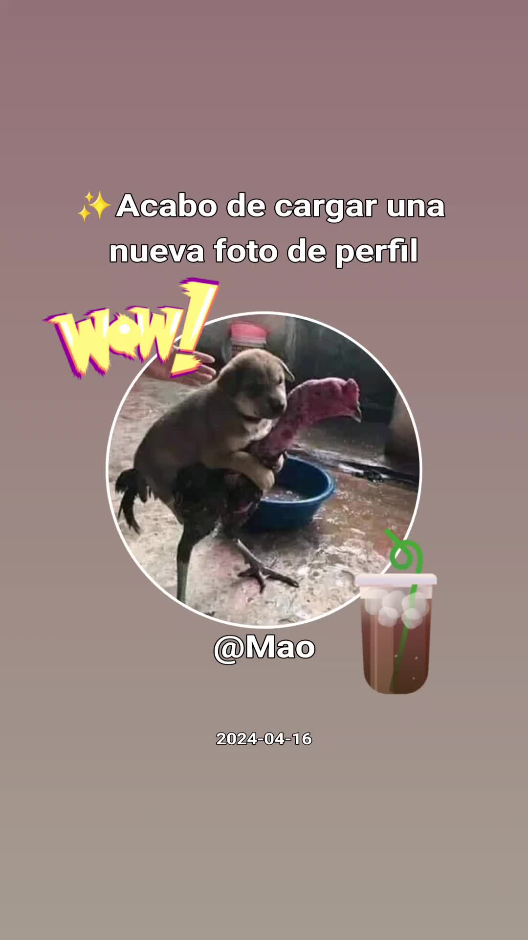 @Mao