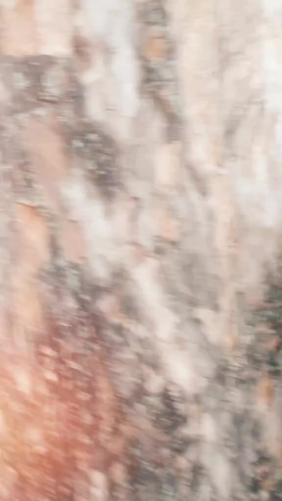 @ManishManish