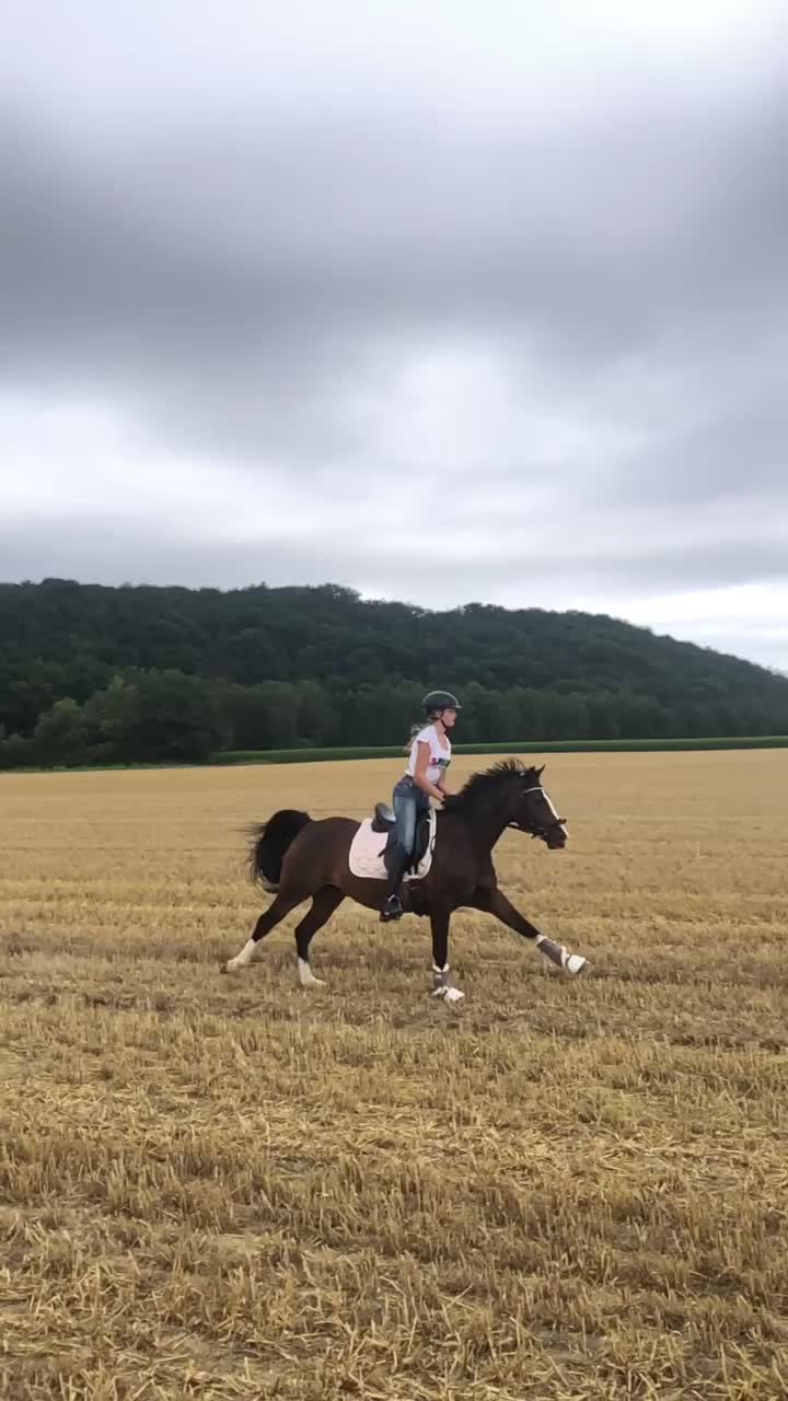 @Dressurpony🐴