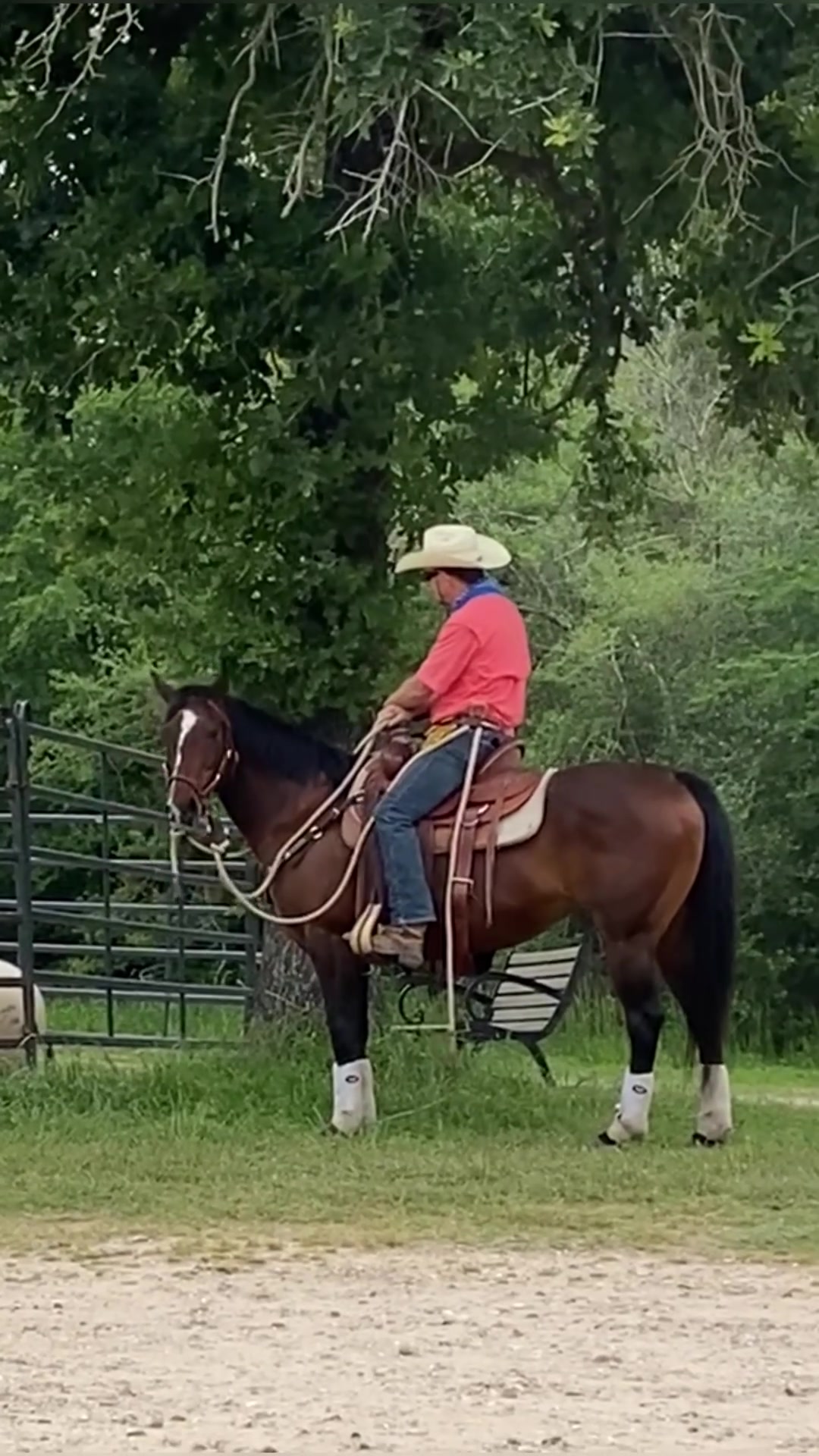 @CowboyBob_Horsemanship