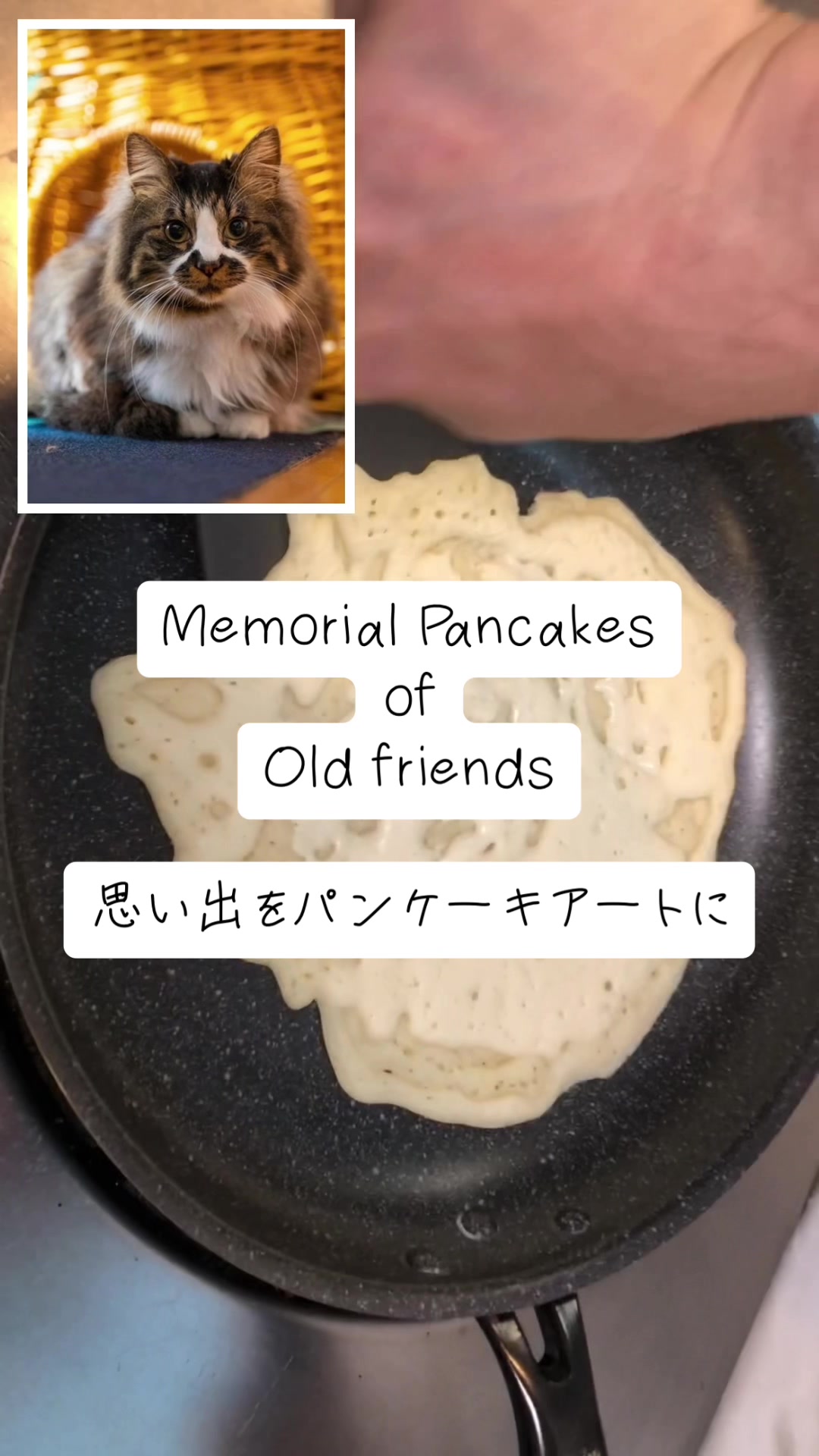 @ぼくのパンケーキアート