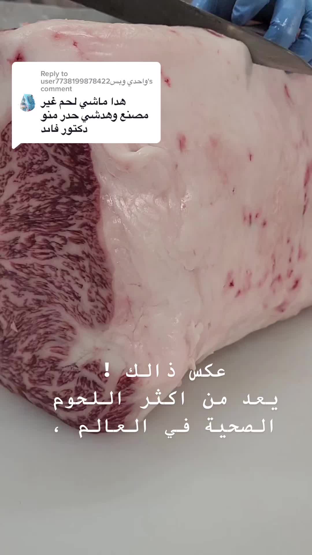 @Walid 🥩🥩&🥩🥩butcher