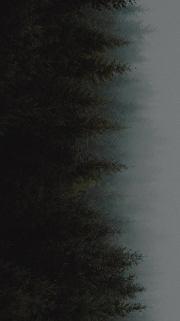 @naidu
