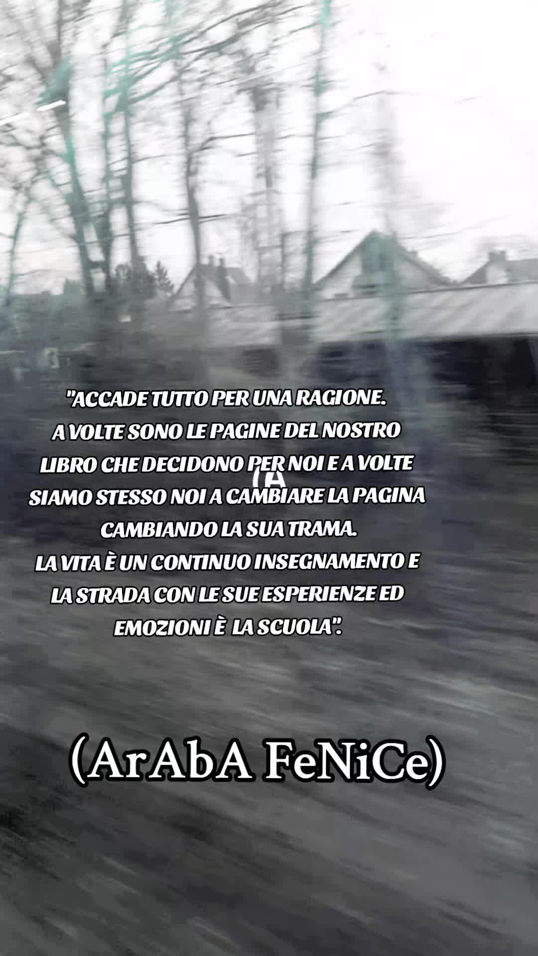 @ArAbA FeNiCe