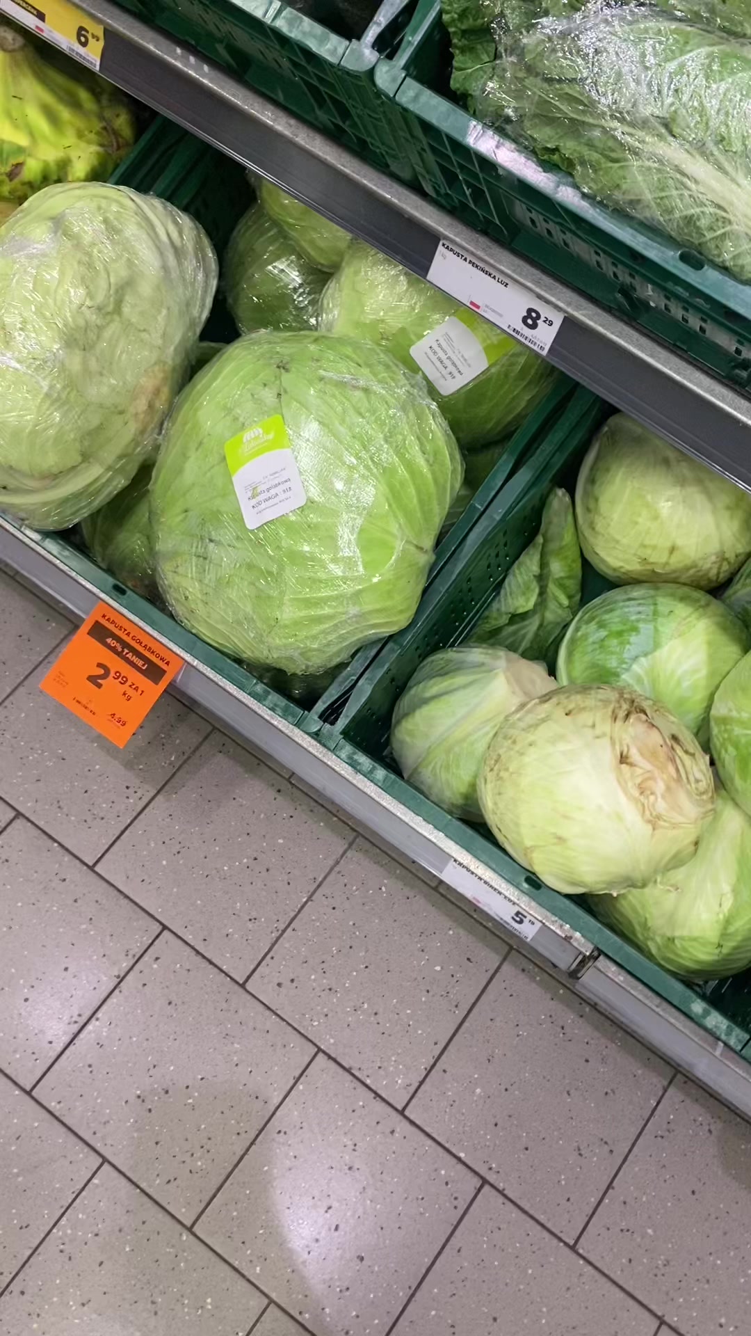 @✨️LOCZEK✨️
